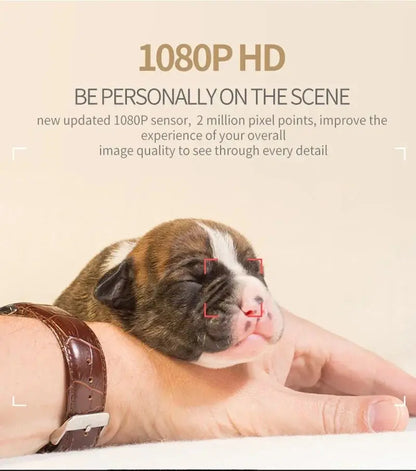 Portable Mini HD Camera